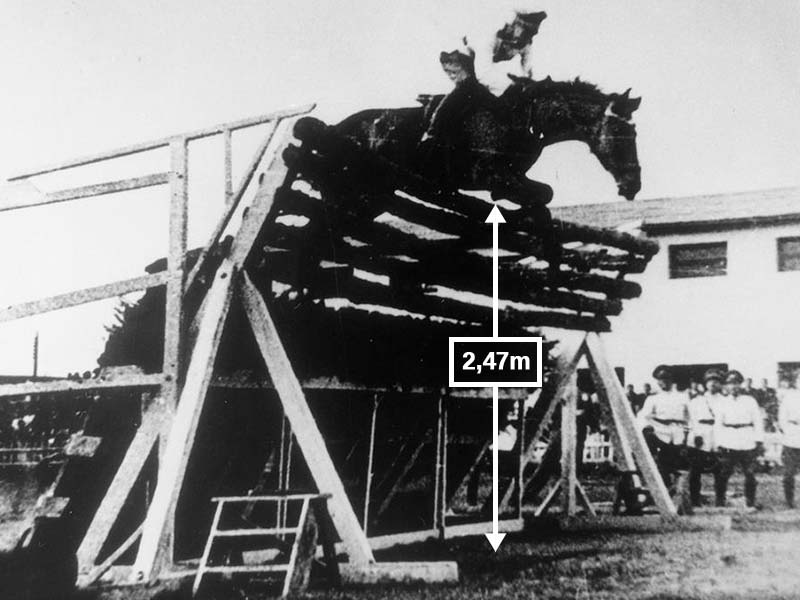 ¿Cuánto salta un caballo? 🐴 Un récord imbatido por más de 70 años