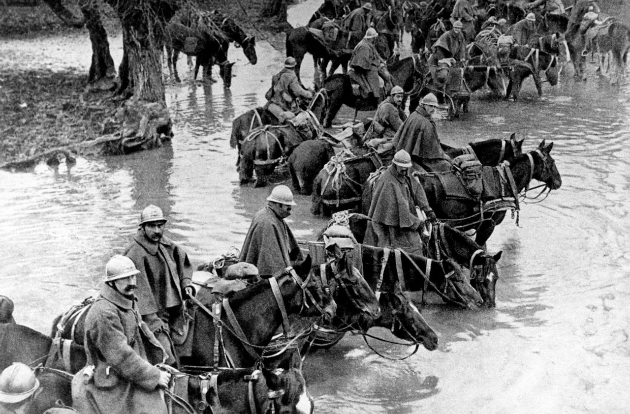 La historia de los 8 millones de caballos muertos en la 1ª Guerra Mundial