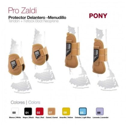 Protector Conjuto Pro-ZaldI 49926 Pony