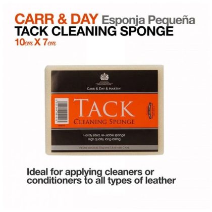 Carr & Day Esponja Pequeña 10x7 cm