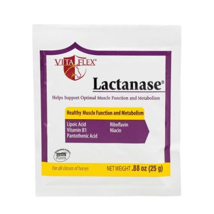 VetNova Lactanase 25 gr